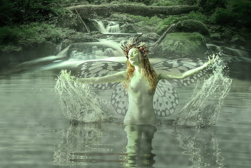 Enchanted Fauna
