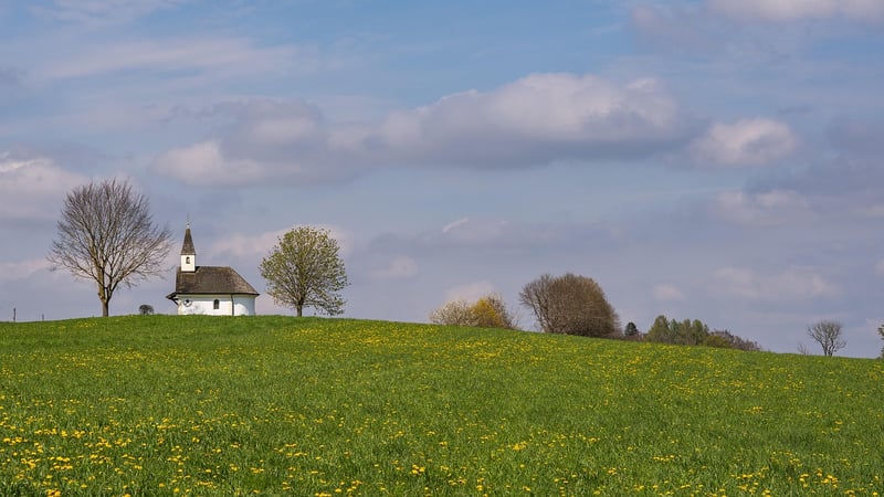 Imaginary Meadows