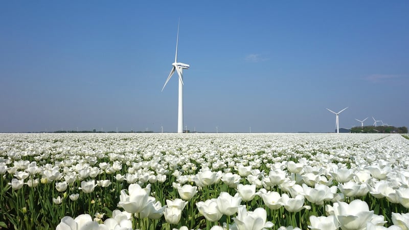 Netherlands location